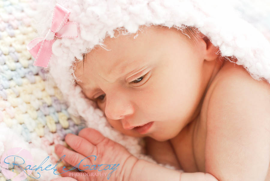 Newborn baby pictures taken in Rockville Maryland