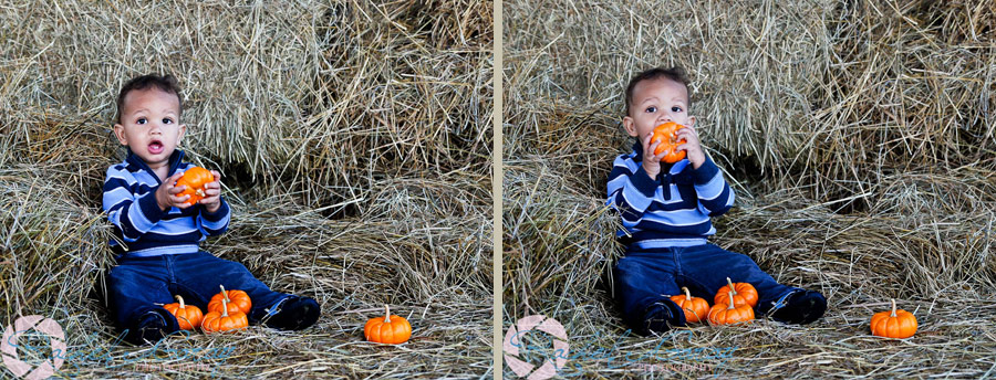 Fall outdoor pictures of children in Rockville MD