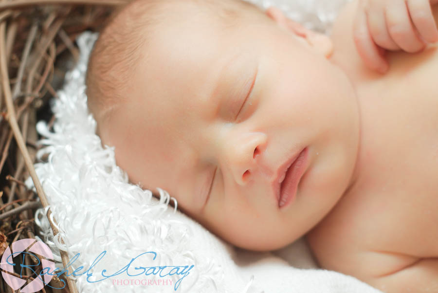 A Gaithersburg newborn in his first photography session!