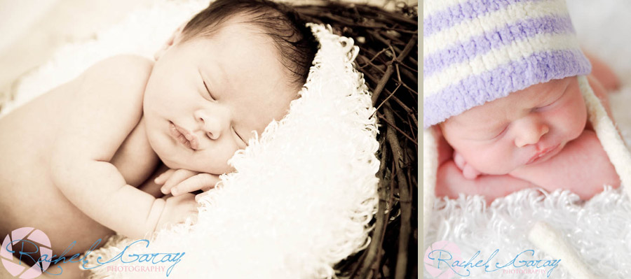 Series of newborn photos from Rockville Maryland session