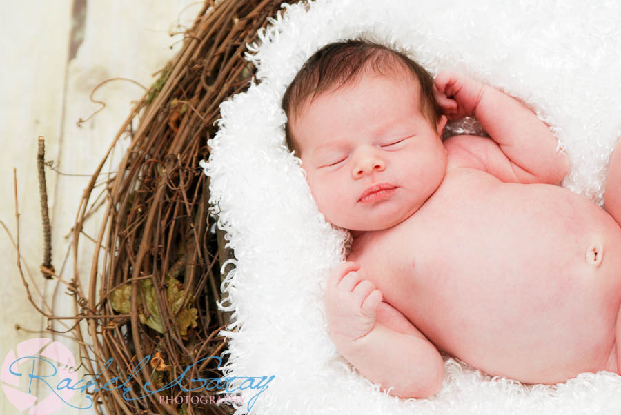 Baby E in Maryland sleeping through the newborn portrait session