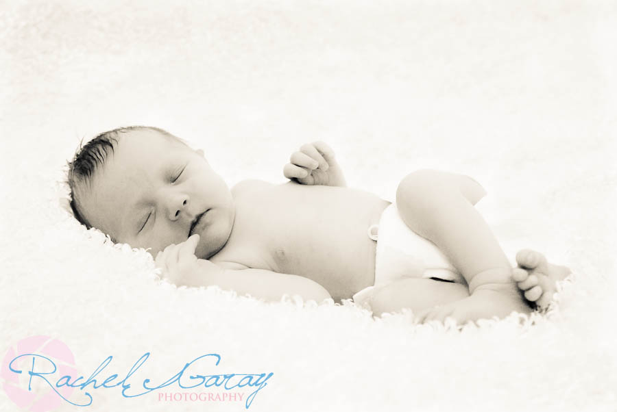 Children's newborn portraits featuring 2 day old Baby B!