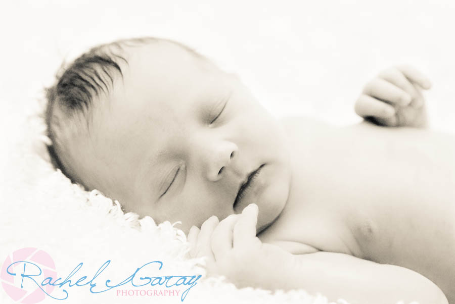 Newborn baby photos Rockville MD