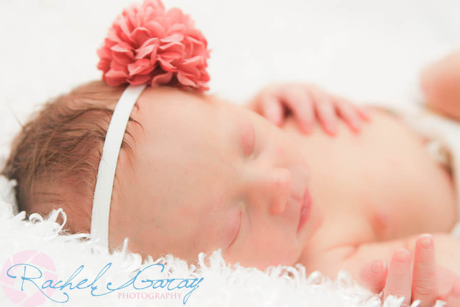 Newborn portraits featuring Baby B!