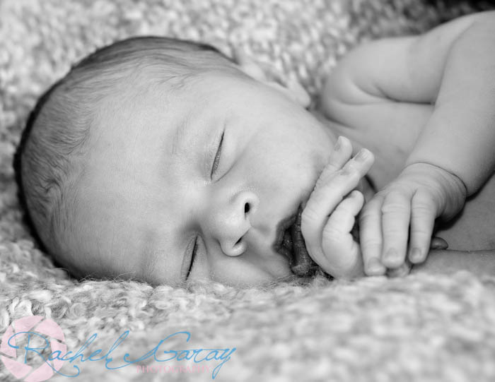 Rockville Maryland pictures featuring newborn baby