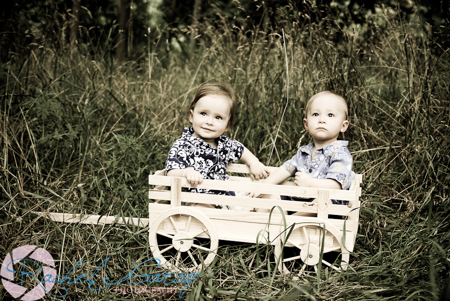 Baby portraits twins riding in wagon